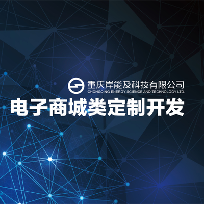 电商类网站定制开发