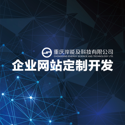 企业网站定制开发
