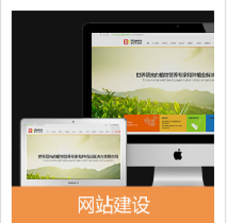 企业网站定制网站