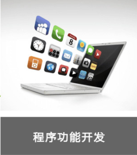 程序功能开发