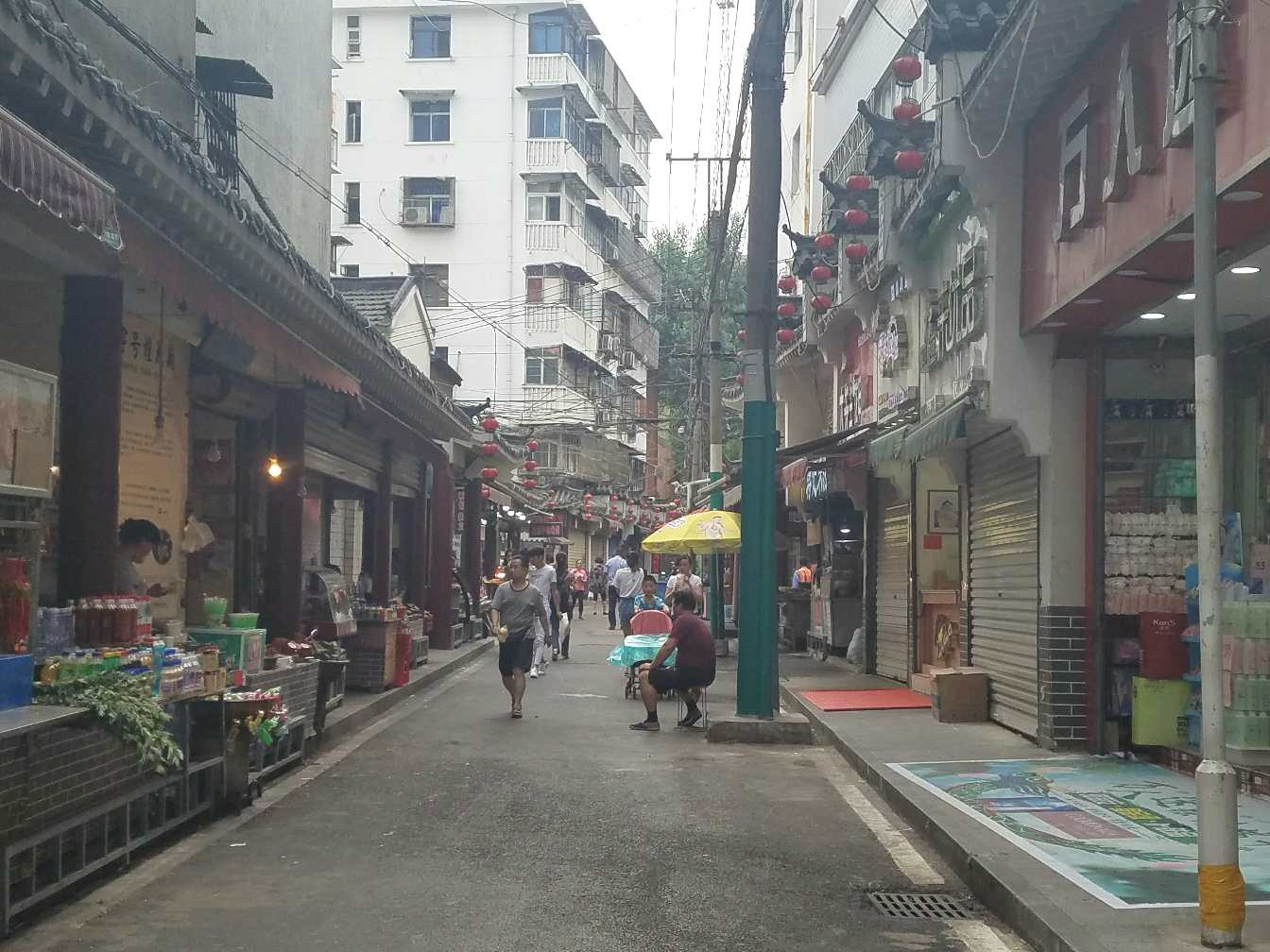 书法/设计/同好