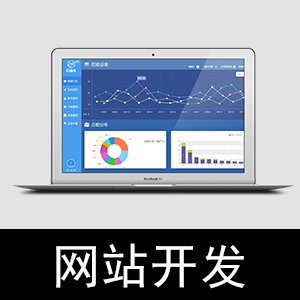 公司官网 业务系统开发