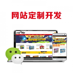 网站开发