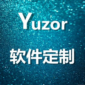 Java 软件定制开发