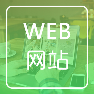 网站开发