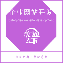 企业网站开发