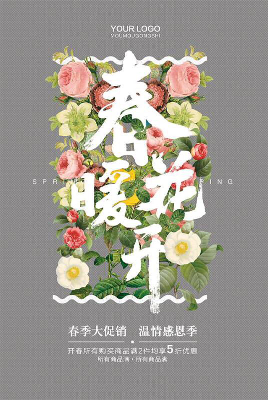 卖场春季促销活动广告