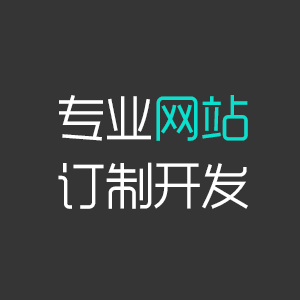 网站订制开发