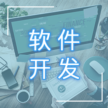 软件开发