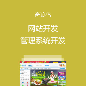 网站及管理系统开发
