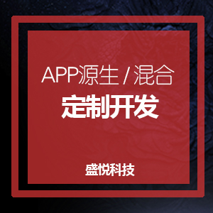 APP开发