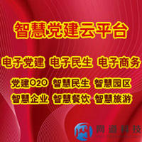 智慧党建/智慧民生/电子党建/软件开发/软件定制