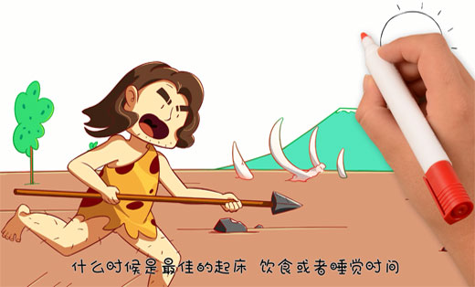 产品解读手绘动画/手绘视频-日照系统【苏红文创】