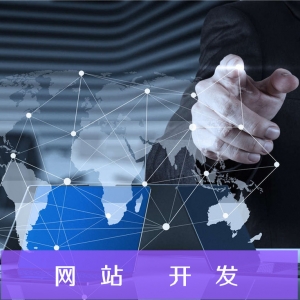 企业官网开发
