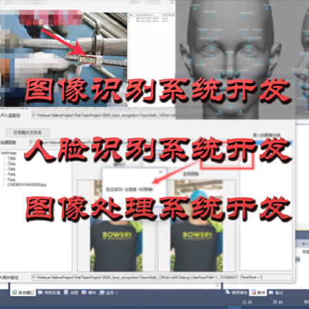 图像识别/人脸识别/视频识别开发