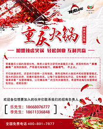 辣虎九宫格展架报刊设计
