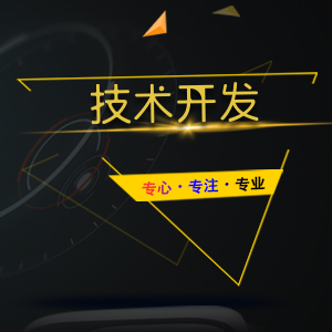 技术开发