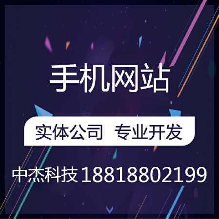 广州H5手机网站建设网站制作/商城企业仿站手机APP/建站一条龙全包