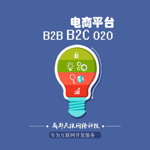 B2B B2C O2O  电商平台