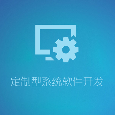 定制型系统软件开发