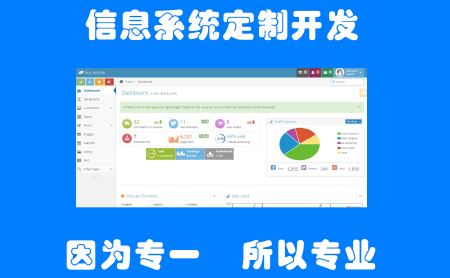 信息系统定制开发