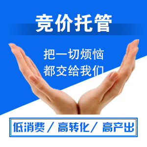 竞价托管，从广告投放开始、策划、网建、电销管理、层层优化。让推广越来越精确!