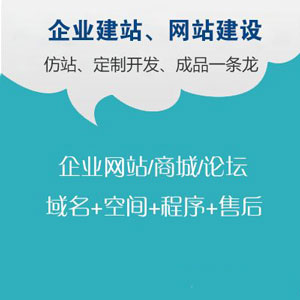 企业网站开发