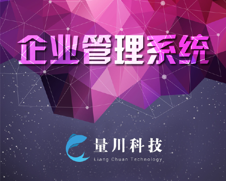 企业管理系统开发