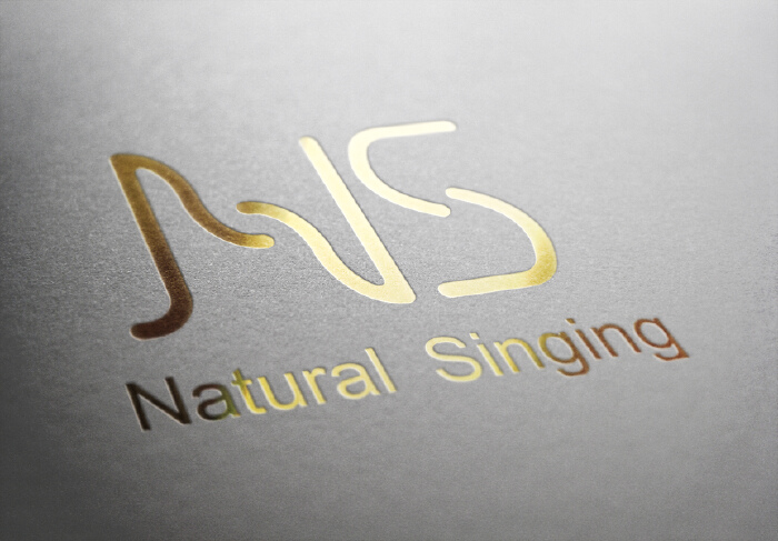 ns音乐logo字体设计