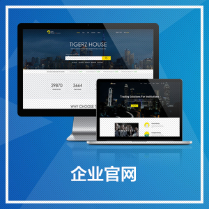 企业网站开发