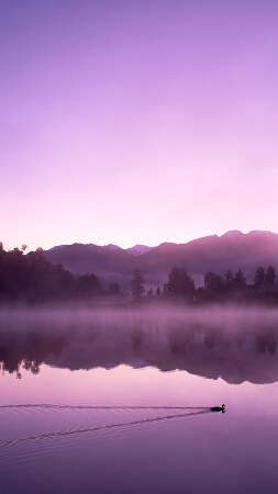 ARP劫持攻击，流量劫持，数据修改