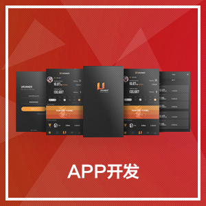 APP开发
