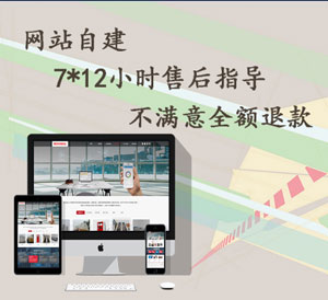 高级版企业官网（独立IP，10M独享带宽）