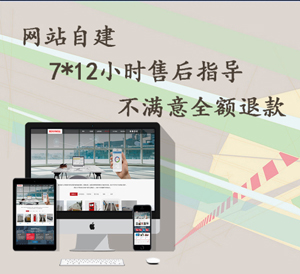 企业展示型网站（免费领取）