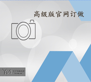 高级版官网订做