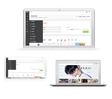 技术咨询，网站开发后台搭建