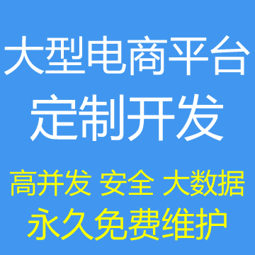 大型网站电商平台开发