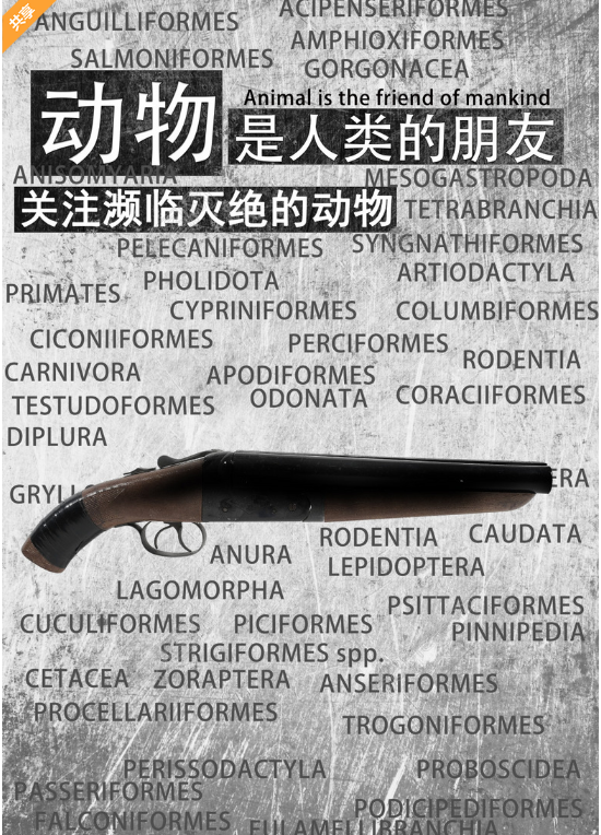四张动物保护海报设计欣赏