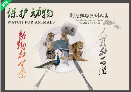四张动物保护海报设计欣赏