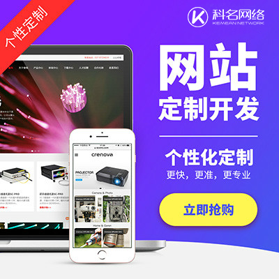 网站开发企业网站建设公司官网开发门户网站开发网页设计