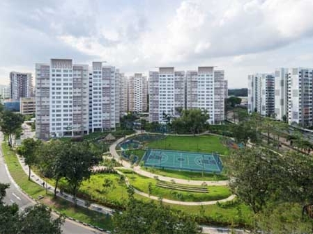 新加坡义顺天然公园景观设计