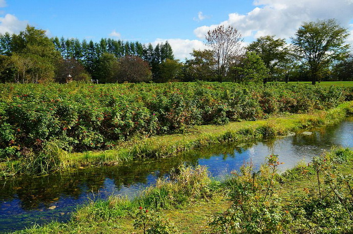 日本北海道六花之森项目景观设计欣赏