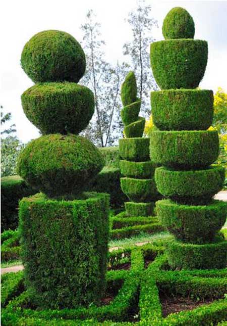 园林植物造景设计4大原则园林植物如何设计