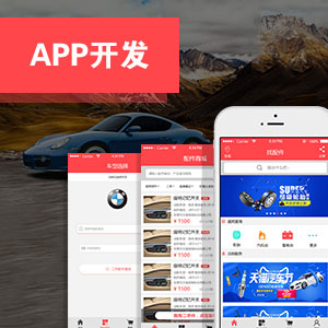 app定制开发