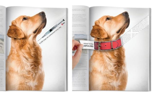 ADOPT DOG AD 领养狗狗公益广告杂志平面广告欣赏
