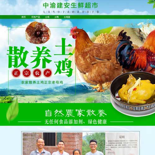 生鲜土特产淘宝店设计效果图