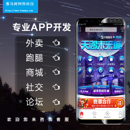 APP专业定制