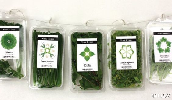 绿色蔬菜包装设计案例欣赏