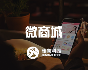 微商城/餐饮/教育培训/驾校/服装美容/百货/酒店/金融