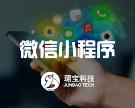 微信小程序/餐饮/教育培训/驾校/服装美容/百货/酒店/金融